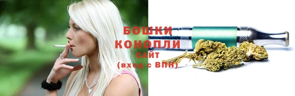 бошки Аркадак
