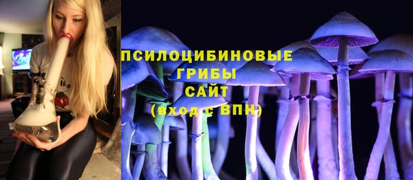 не бодяженный Алзамай